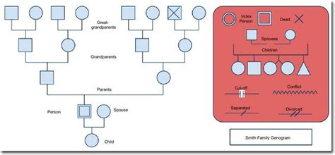 Free Genogram Templates (Word, PowerPoint, Slides) - WordLayouts ...