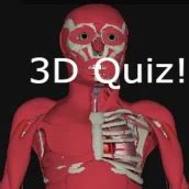 Download 3D Anatomy Quiz -Human Body android on PC