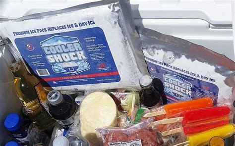 The 5 Best Ice Packs for Coolers - [2021 Reviews]