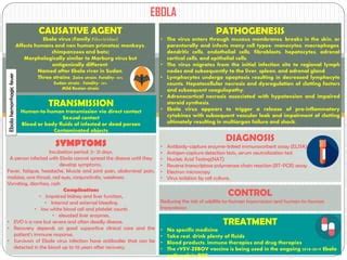 Ebola infograph | PPT