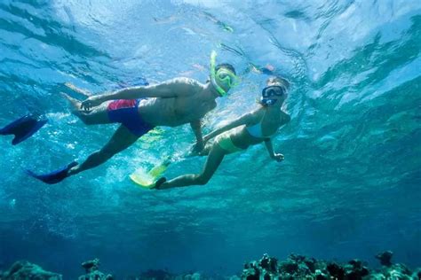 The 15 Best Caribbean Resorts For Snorkeling - Addicted to Vacation