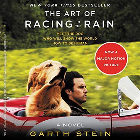 Amazon.com: The Art of Racing in the Rain (Audible Audio Edition): Garth Stein, Christopher Evan ...