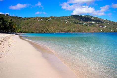 My Morning Swim With The Sea Turtles of Magens Bay, St. Thomas | St ...