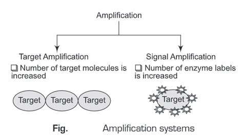 Signal Amplification System - Biology Ease