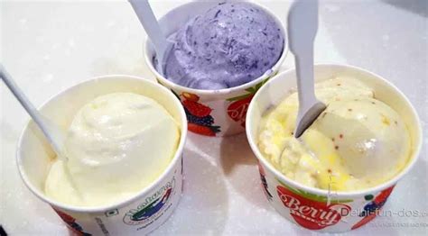 10 Awesome Ice Cream Shops in Gurgaon - We Are Gurgaon