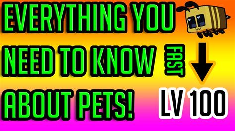 Hypixel Skyblock: All pets revealed, EASY pets and Secrets exposed! - YouTube