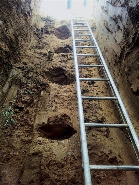 Border tunnel discovered between India and Pakistan – Vishwa Samvada Kendra