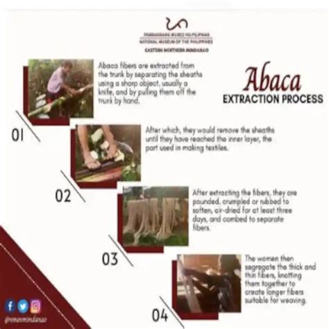 Abaca Extraction Process - The Philippines Today