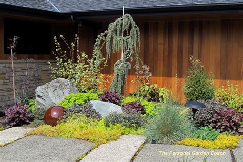 Black Mondo Grass | Fine Foliage | Succulent garden design, Northwest landscaping, Landscaping ...