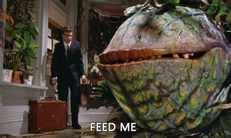 Feed Me (Little Shop of Horrors) | Reaction GIFs