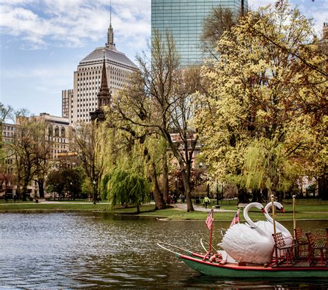 Boston Public Garden Tour | Boston in Bloom | Shannon Shipman