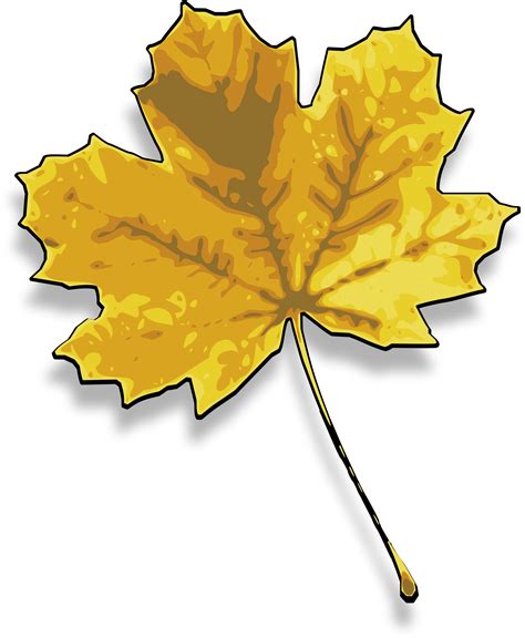 Free Maple Leaf Clipart Black And White, Download Free Maple Leaf Clipart Black And White png ...