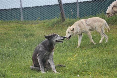 Red River Zoo (Fargo) - 2021 All You Need to Know BEFORE You Go (with Photos) - Tripadvisor