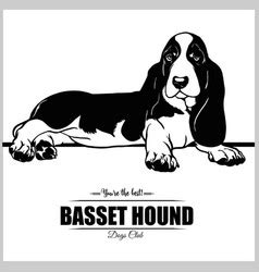 Hound Silhouette Basset Vector Images (over 160)