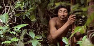 Pirahã Tribe - Google Search | Forest people, Tribe, Culture travel