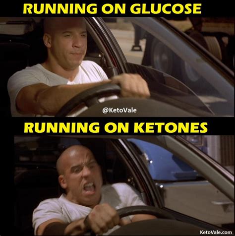 46+ Best Keto Diet Funny Memes You Can Relate | KetoVale