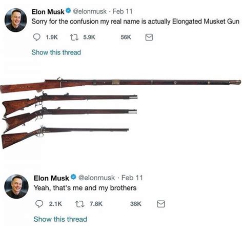 Elongated Musket | Elongated Muskrat | Know Your Meme