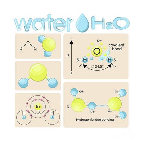 Water Molecule Structure Photograph by Inna Bigun/science Photo Library