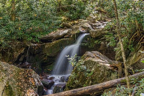 The Ultimate Tennessee Hiking Guide: 12 Hikes for Any Season — Home ...