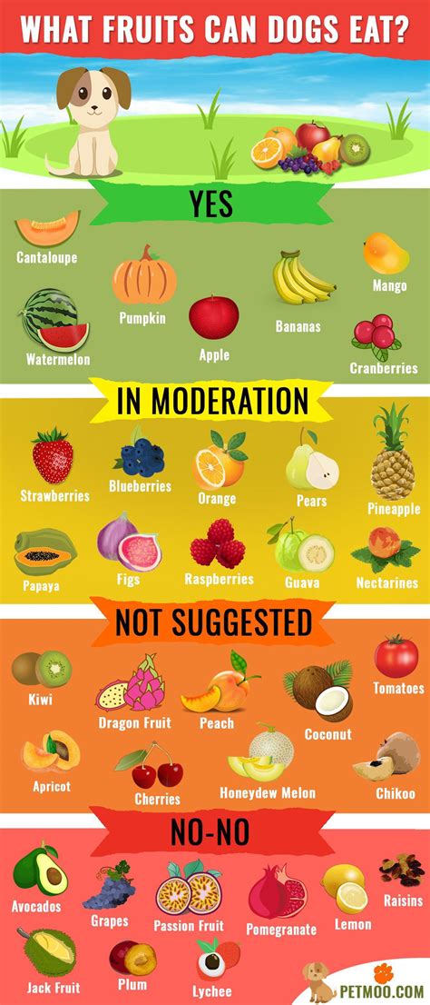 What fruits can dogs eat? : r/coolguides