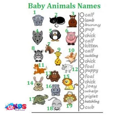 Baby Animals Names Free Printable | Baby animal names, Baby animals, Animals for kids