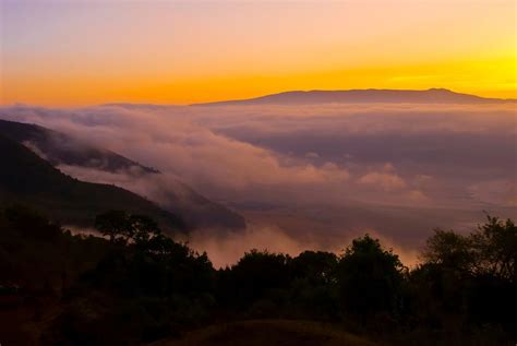 Ngorongoro Crater shrouded in fog after sunrise, Ngorongoro ...