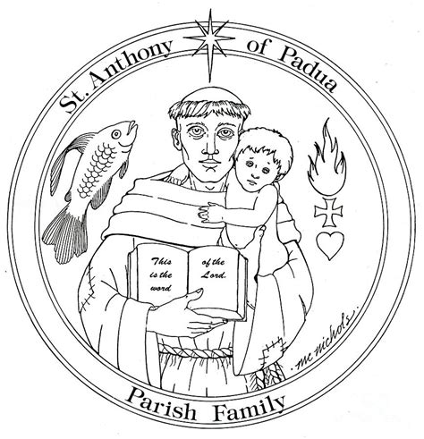 St Anthony of Padua Drawing by William Hart McNichols