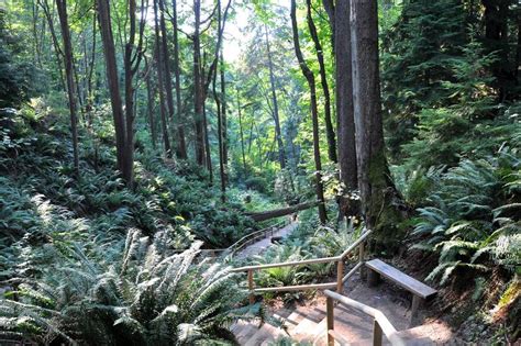 10 Best Parks in Vancouver - Explore Vancouver's Most Beautiful Outdoor ...