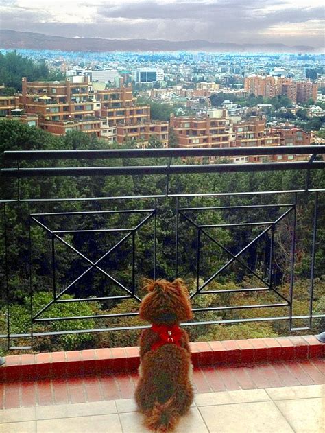 Bogota, Colombia | Culture travel, Vacation, Places ive been