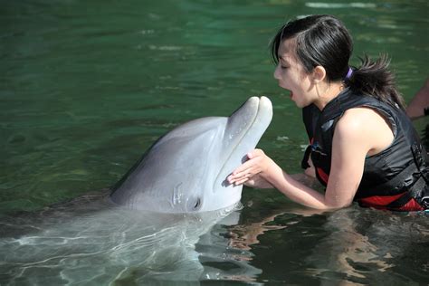 Dolphin Quest Oahu | Dolphin Quest Oahu | Prabu Martakoesoemah | Flickr