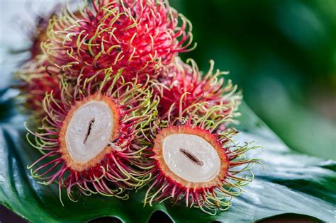 Pictures of Various Tropical Fruits