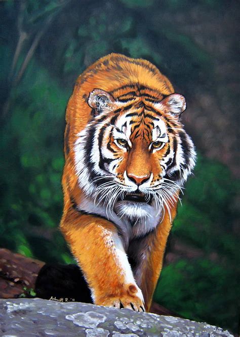 Siberian Tiger Painting by Schmidt Roger - Fine Art America