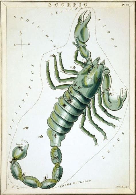 Myths about the Constellation Scorpius Part 1