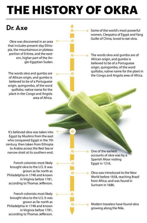 Okra Nutrition, Benefits, Uses, Recipes and Side Effects - Dr. Axe