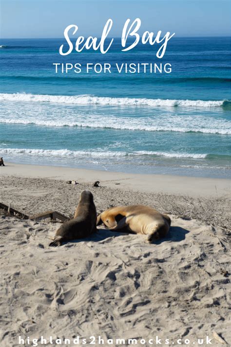 Seal Bay Conservation Park Kangaroo Island - highlands2hammocks