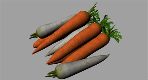 24FPS 3D Challenge (MAAC THANE): (Texture) Carrot and Radish