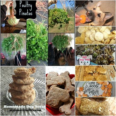 9 Pawsome and Healthy Homemade Pet Treats - Miss Molly Says