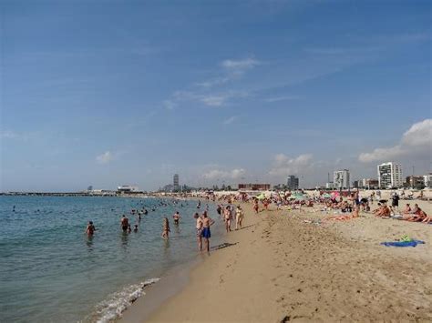 Nova Mar Bella Beach (Barcelona) - 2018 All You Need to Know Before You ...