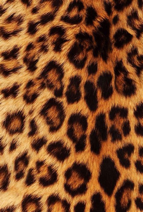 Cheetah Print Wallpapers - Wallpaper Cave