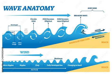 Wave anatomy vector illustration. Water movement physics explanation ...