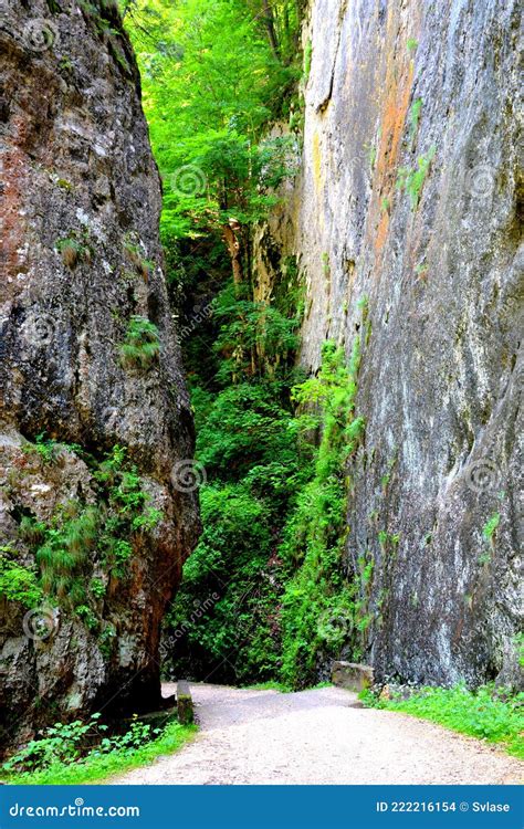 Big Stones in Zarnesti Canyon. Typical Landscape in the Forests of ...