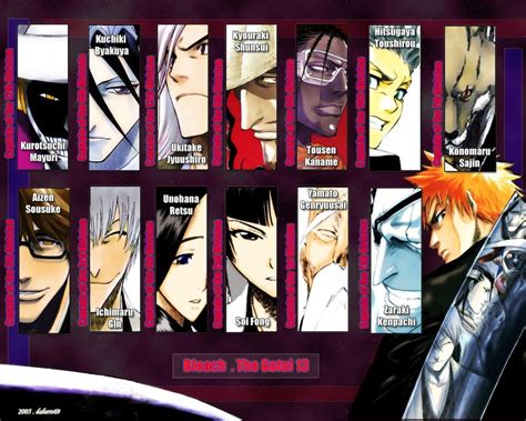 Bleach - The Gotei 13 - Bleach Anime Wallpaper (18029434) - Fanpop