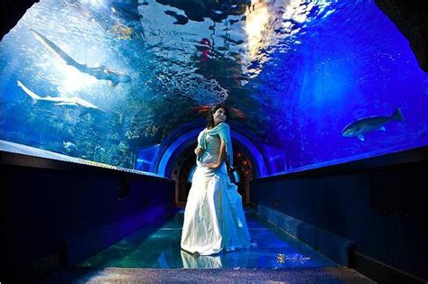 Cincinnati, Ohio: Newport Aquarium photo, picture, image