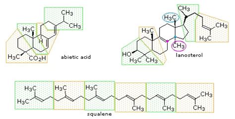 Terpenes - Chemistry LibreTexts