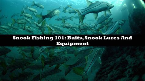 Snook Fishing 101: Snook Bait, Snook Lures And Equipment– Hunting and Fishing Depot