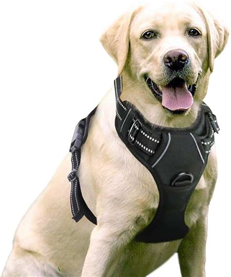 Amazon.co.uk | Dog Harnesses