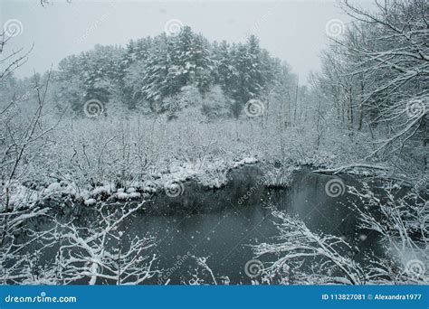 A Snowy Winter Scene in New England Stock Image - Image of path, forest: 113827081