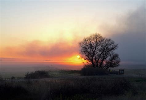 Tule Fog Sunrise Photograph by Cheryl Strahl - Fine Art America