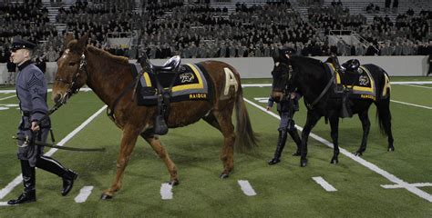 Mule Mascot Ceremony_04 | Two of the Army Mule Mascots, Raid… | Flickr