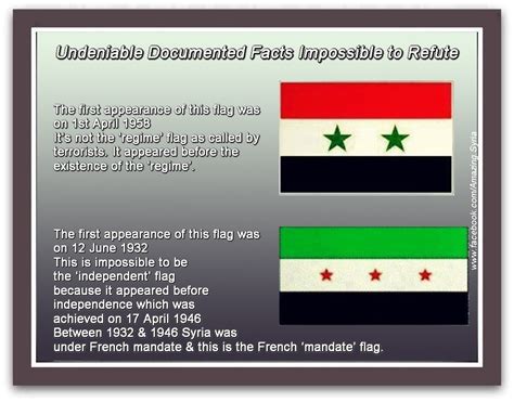 what you should know about the syrian revolution flag | Syria News